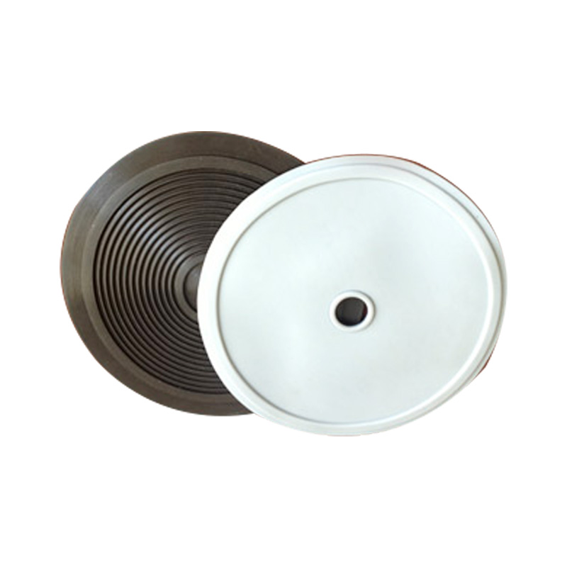 衛(wèi)生級恒壓閥膜片